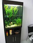     
: IMG_3601.jpg
: 31
:	98.1 
ID:	5597126