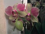     
: Фото-0019.jpg
: 3
:	94.6 
ID:	5597372