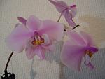     
: DSC02372.jpg
: 4
:	76.2 
ID:	5600077