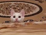     
: 20130129_221947(0).jpg
: 3
:	131.8 
ID:	5601206