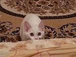     
: 20130129_221923.jpg
: 6
:	133.0 
ID:	5601208