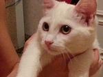     
: 20130129_222136.jpg
: 6
:	96.1 
ID:	5601209