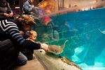     
: DSC_9948.jpg
: 27
:	125.8 
ID:	5601565