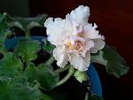     
: Фото3624.jpg
: 9
:	102.4 
ID:	5602724