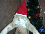     
: 06012013537.jpg
: 7
:	114.1 
ID:	5603280