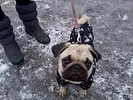     
: 2012-12-16 13.35.47.jpg
: 13
:	185.2 
ID:	5606837