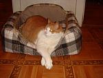     
: DSC03785.JPG
: 6
:	96.6 
ID:	5608061
