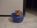     
: 14112012432.jpg
: 5
:	65.0 
ID:	5610185
