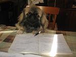    
: x_48f1b244.jpg
: 36
:	56.6 
ID:	5611557