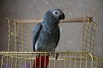     
: fPYOem3BicQ.jpg
: 33
:	225.4 
ID:	5611721