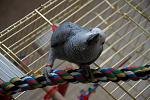     
: MyBIc1vFJLs.jpg
: 33
:	190.4 
ID:	5611725