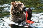     
: обед dwG_fs.jpg
: 3
:	143.6 
ID:	5616892
