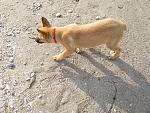     
: IMG_4169.jpg
: 9
:	303.9 
ID:	5617484