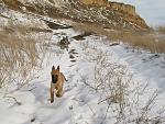    
: IMG_4173.jpg
: 6
:	234.9 
ID:	5617485