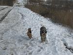     
: IMG_4164.jpg
: 6
:	142.1 
ID:	5617486