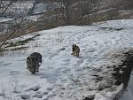     
: IMG_4178.jpg
: 3
:	168.5 
ID:	5617487