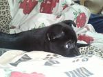     
: IMG239.jpg
: 6
:	88.8 
ID:	5621072