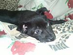     
: IMG236.jpg
: 7
:	111.6 
ID:	5621073