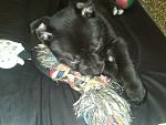     
: IMG230.jpg
: 6
:	120.6 
ID:	5621074