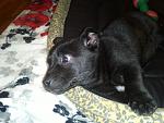     
: IMG224.jpg
: 7
:	129.1 
ID:	5621076