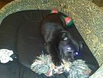     
: IMG228.jpg
: 8
:	154.2 
ID:	5621078