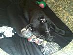     
: IMG229.jpg
: 7
:	136.5 
ID:	5621081