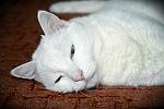     
: g2QaeAJ9f5Q.jpg
: 39
:	71.2 
ID:	5622107