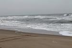     
: IMG_4514.JPG
: 15
:	89.4 
ID:	5622627