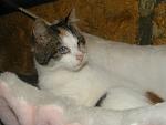     
: LollyL.jpg
: 30
:	27.9 
ID:	5623300