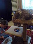     
: 01022013671.jpg
: 4
:	80.3 
ID:	5623471