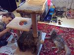     
: 01022013675.jpg
: 9
:	179.0 
ID:	5623481