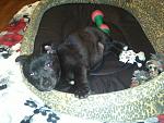     
: IMG225.jpg
: 4
:	154.1 
ID:	5626578