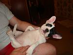     
: DSC01634.jpg
: 4
:	73.3 
ID:	5631773