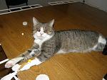     
: pPVUFY3jg1Q.jpg
: 11
:	259.4 
ID:	5632310