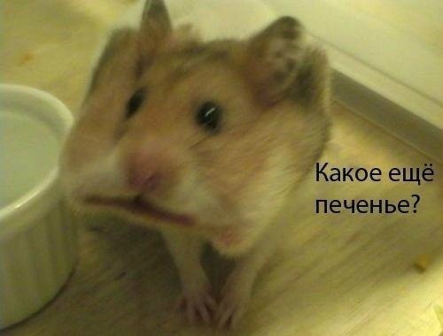     
: 0nYTA-w1Uic.jpg
: 1
:	21.1 
ID:	5632970