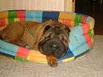     
: DSC00991.jpg
: 10
:	157.3 
ID:	5637508