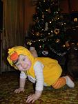     
: DSCN3605.jpg
: 6
:	72.8 
ID:	5637848