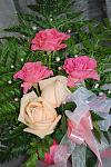     
: DSC_0007.jpg
: 96
:	120.6 
ID:	5638148