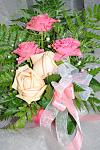     
: DSC_0017.jpg
: 51
:	125.0 
ID:	5638158