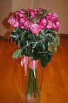    
: DSC_0023.jpg
: 22
:	94.7 
ID:	5638185