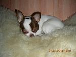     
: DSCN5253.jpg
: 5
:	74.4 
ID:	5639387