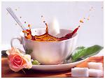     
: picture.jpg
: 37
:	47.5 
ID:	5639501