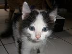     
: PA260045.jpg
: 36
:	106.9 
ID:	564255