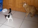     
: PA260044.jpg
: 43
:	81.2 
ID:	564256