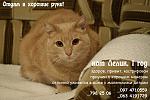     
: крем4а.jpg
: 11
:	77.8 
ID:	5643817