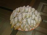     
: 06022013033.jpg
: 66
:	156.9 
ID:	5643847