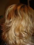     
: DSC06396.jpg
: 13
:	144.1 
ID:	5644227