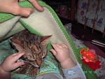     
: PICT2249.JPG
: 33
:	97.7 
ID:	564425