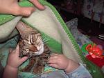     
: PICT2250.JPG
: 35
:	94.9 
ID:	564426