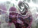     
: 2013-02-07 11.00.17.jpg
: 11
:	115.4 
ID:	5646325